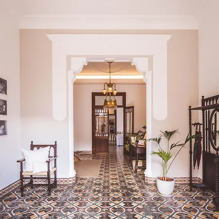 Boutique Pocovi