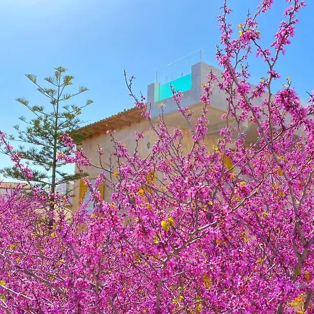 Hotel Boutique Pocovi Sant Llorenc Des Cardassar